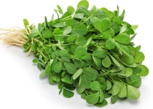 Fenugreek Leaaves (Methi) मेथी