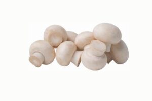 Mushroom मशरुम