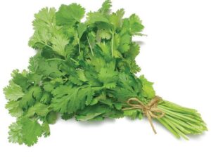 Coriander Leaves (Sambar) सांबार