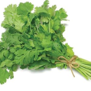 Coriander Leaves (Sambar) सांबार