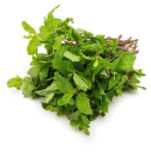 Mint leaves (Poodina) पुदीना