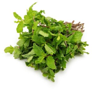 Mint leaves (Poodina) पुदीना